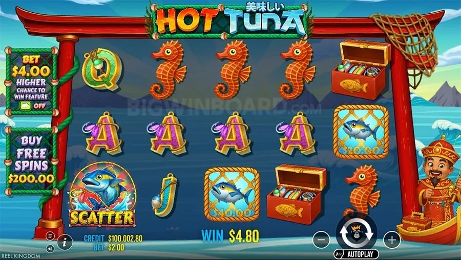 About Gamezone Bingoplus